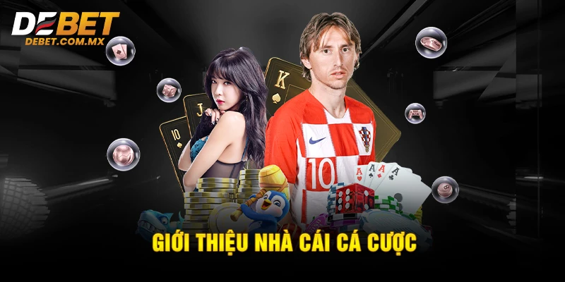 Giới thiệu nhà cái cá cược Debet